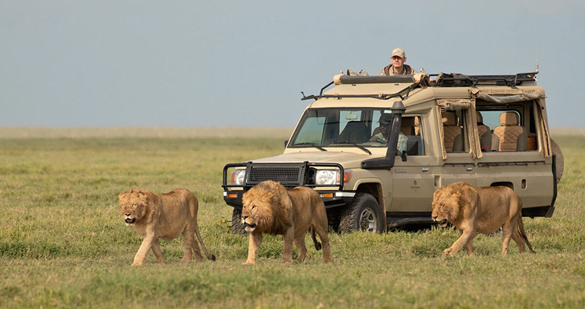 3-days-serengeti-national-park