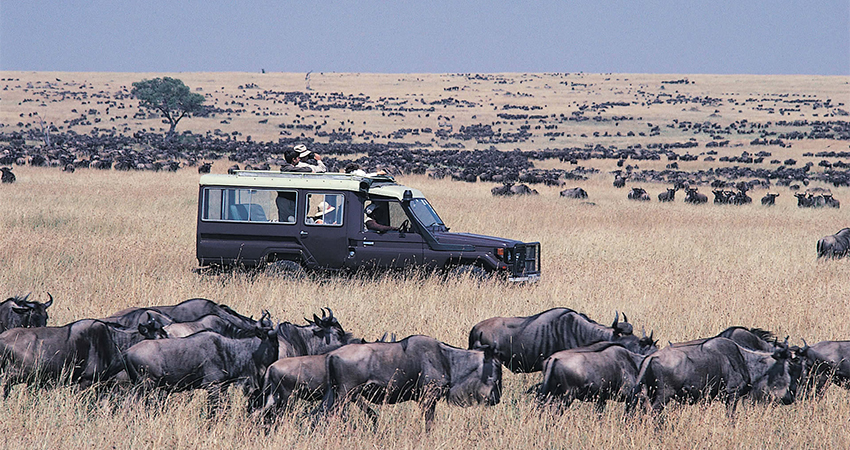 Maasai-Mara-National-Reserve-joyina-safaris